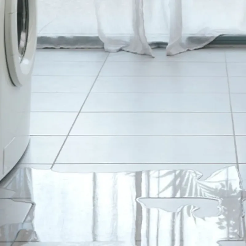 Appliance Leak Cleanup in Flagler Estates, FL