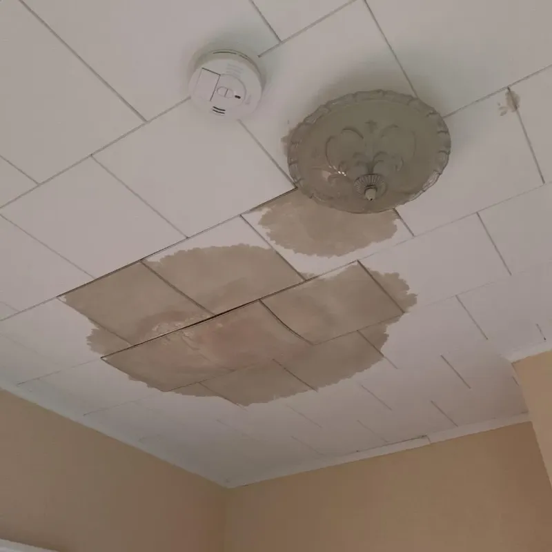 Ceiling Water Damage Repair in Flagler Estates, FL